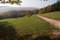 Wienerwaldwiesen15