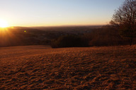 Wienerwaldwiesen02